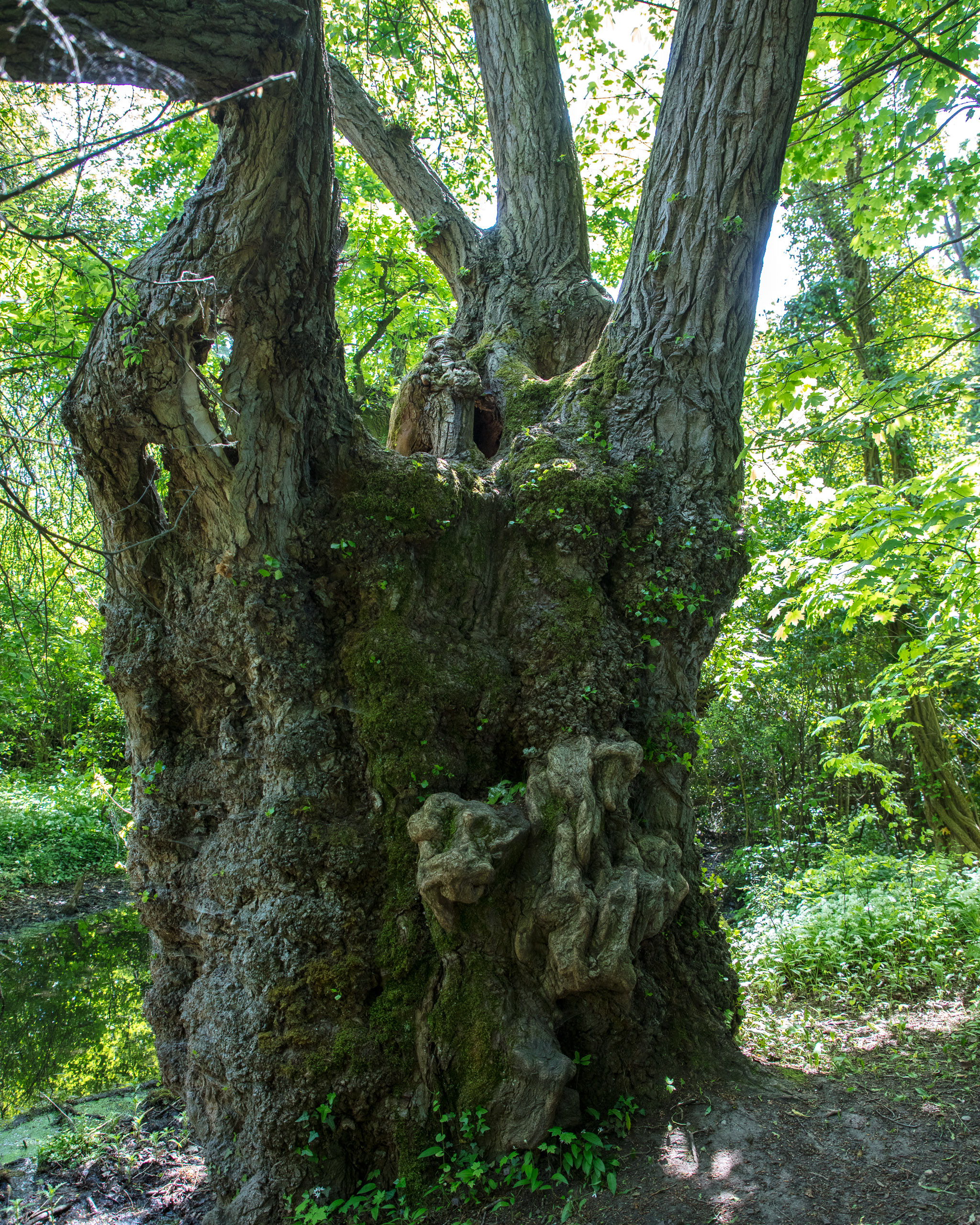 20220508123530 DP017516